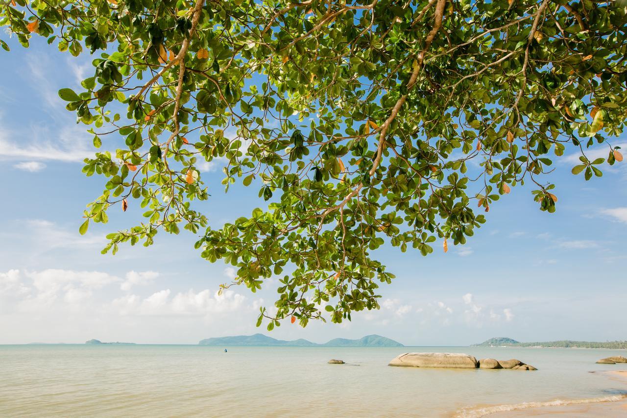D.Samui Hostel Chaweng  Eksteriør bilde
